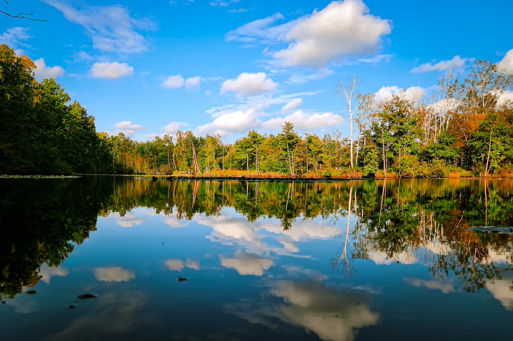 green trees beside body of water under blue sky and white clouds during daytime