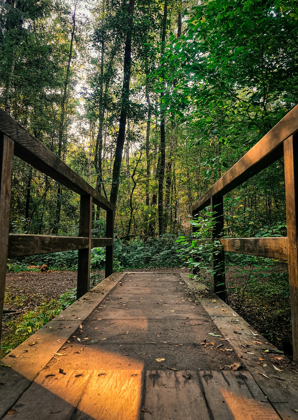 brown wooden bridge in forest during daytime