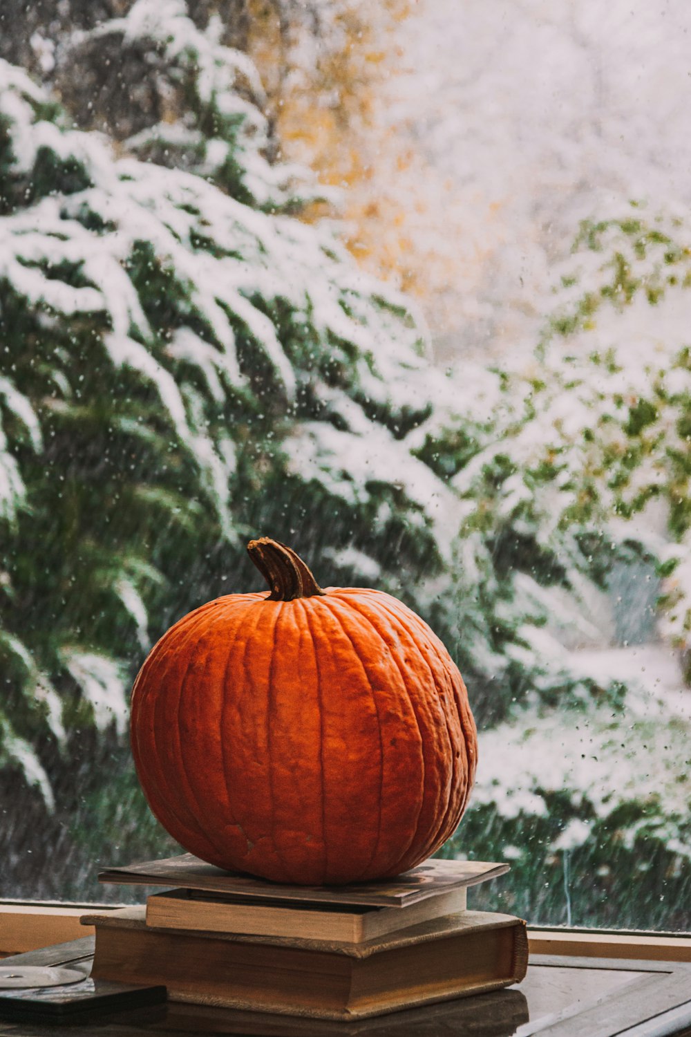 orange pumpkin on black and white surface