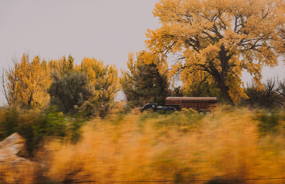 black train on rail road in between trees during daytime