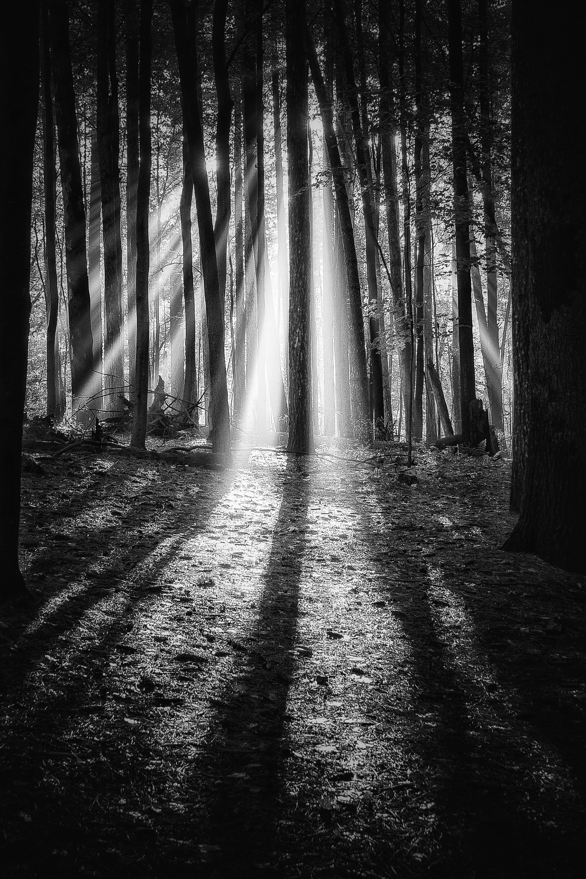 Photo by michael_g_krahn