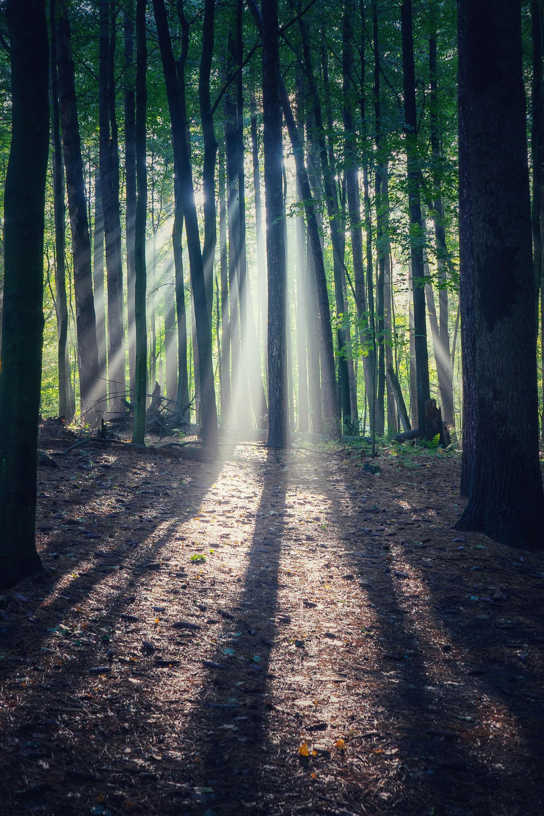 Photo by michael_g_krahn