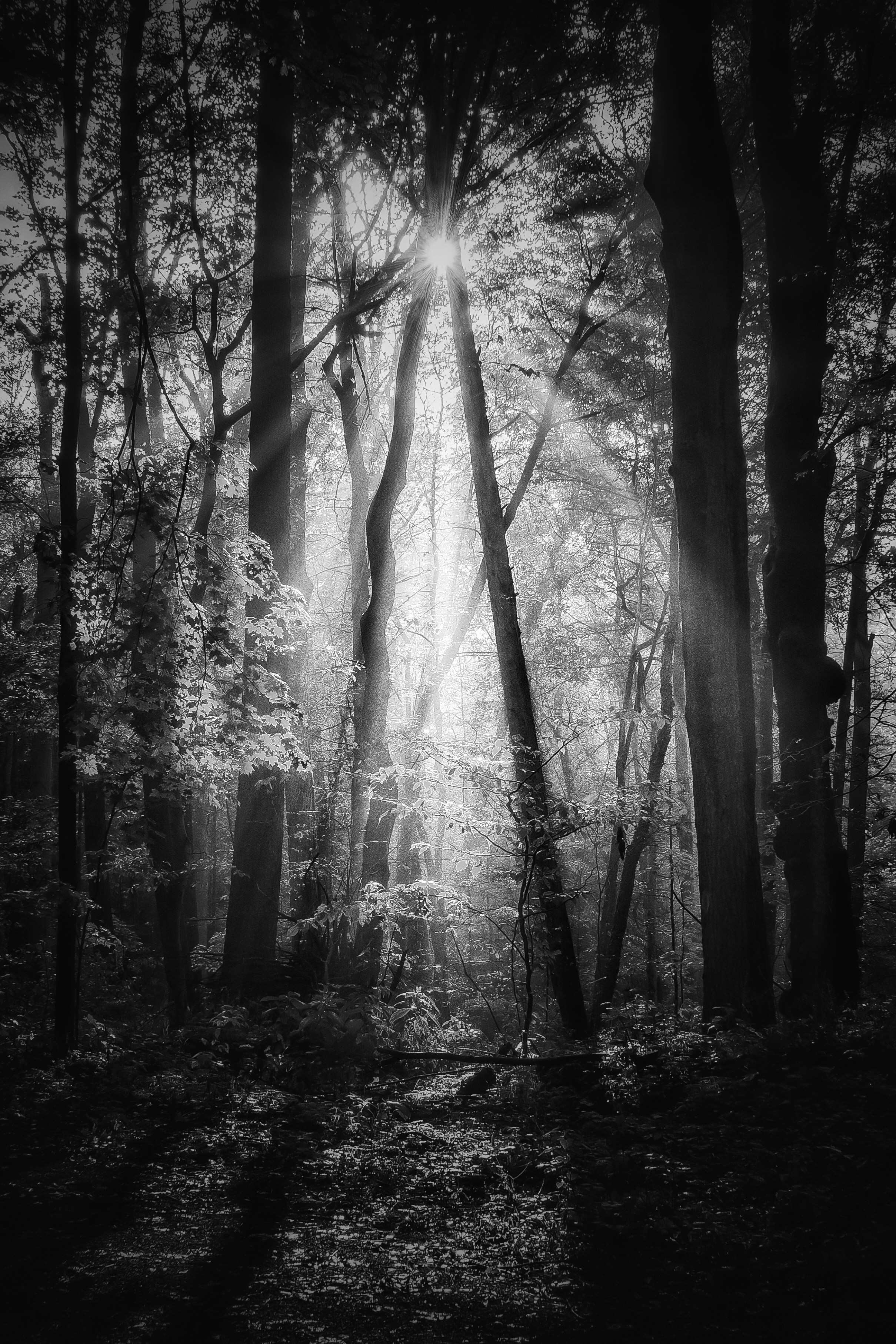 Photo by michael_g_krahn