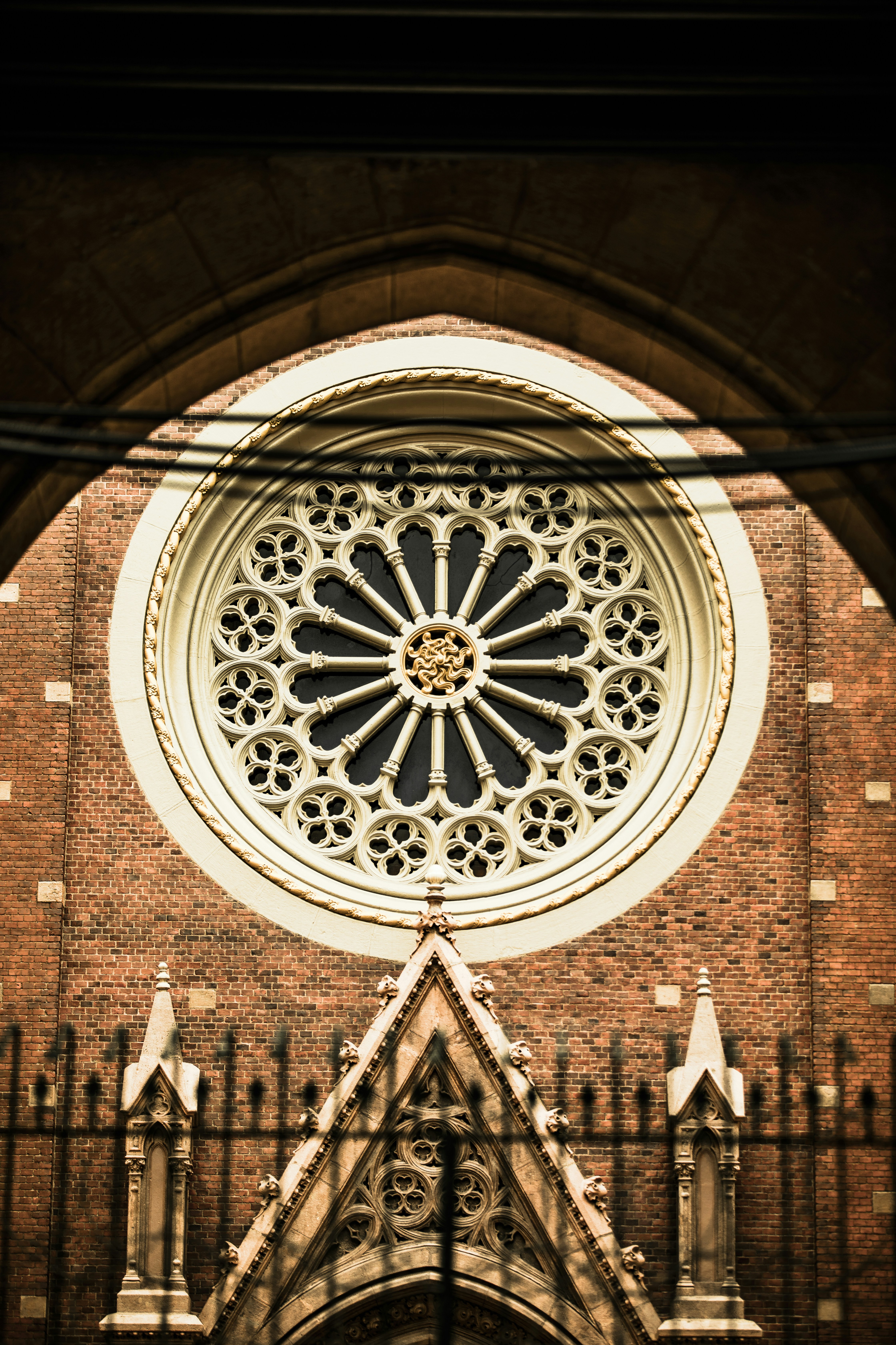 Photo by sinahnyazdi