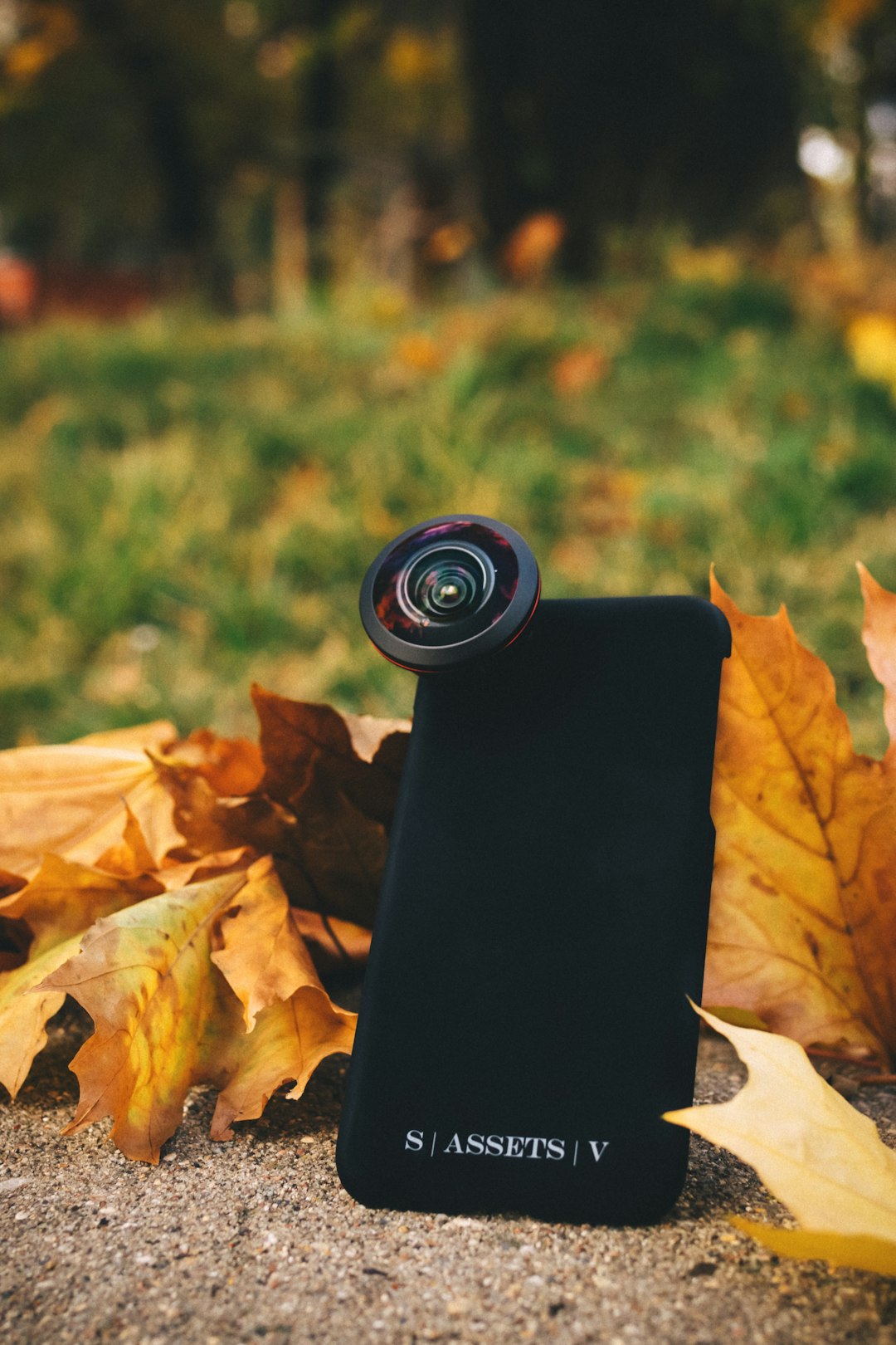 black camera lens on brown dried leaves