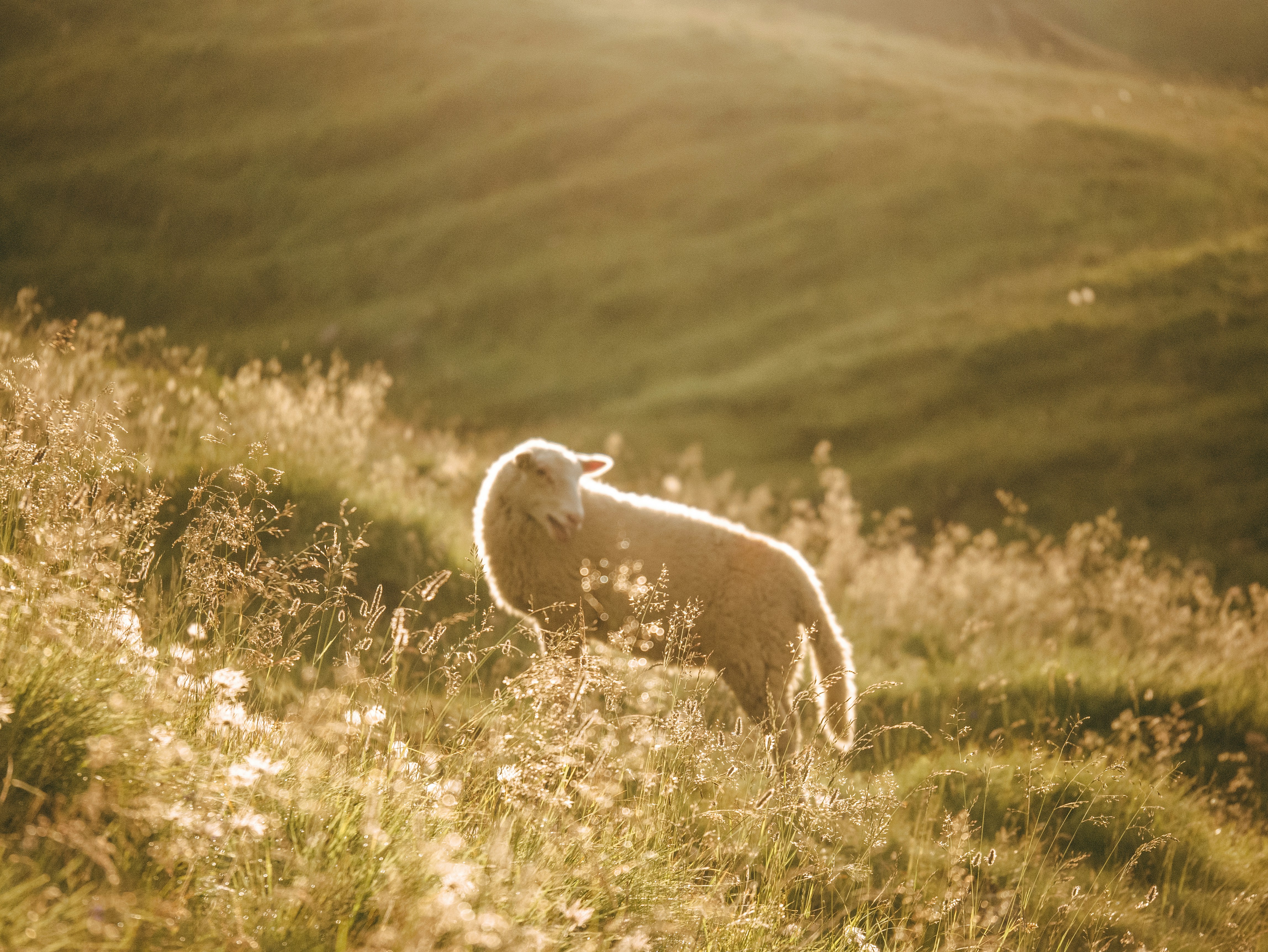 Photo by lucasbaudgrasset