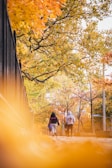 woman in white dress standing near yellow leaf trees during daytime