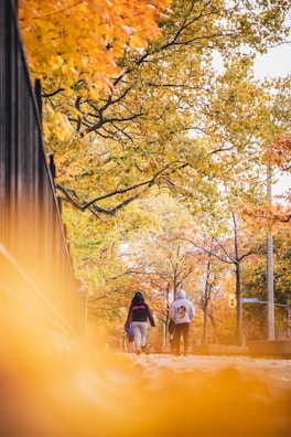 woman in white dress standing near yellow leaf trees during daytime