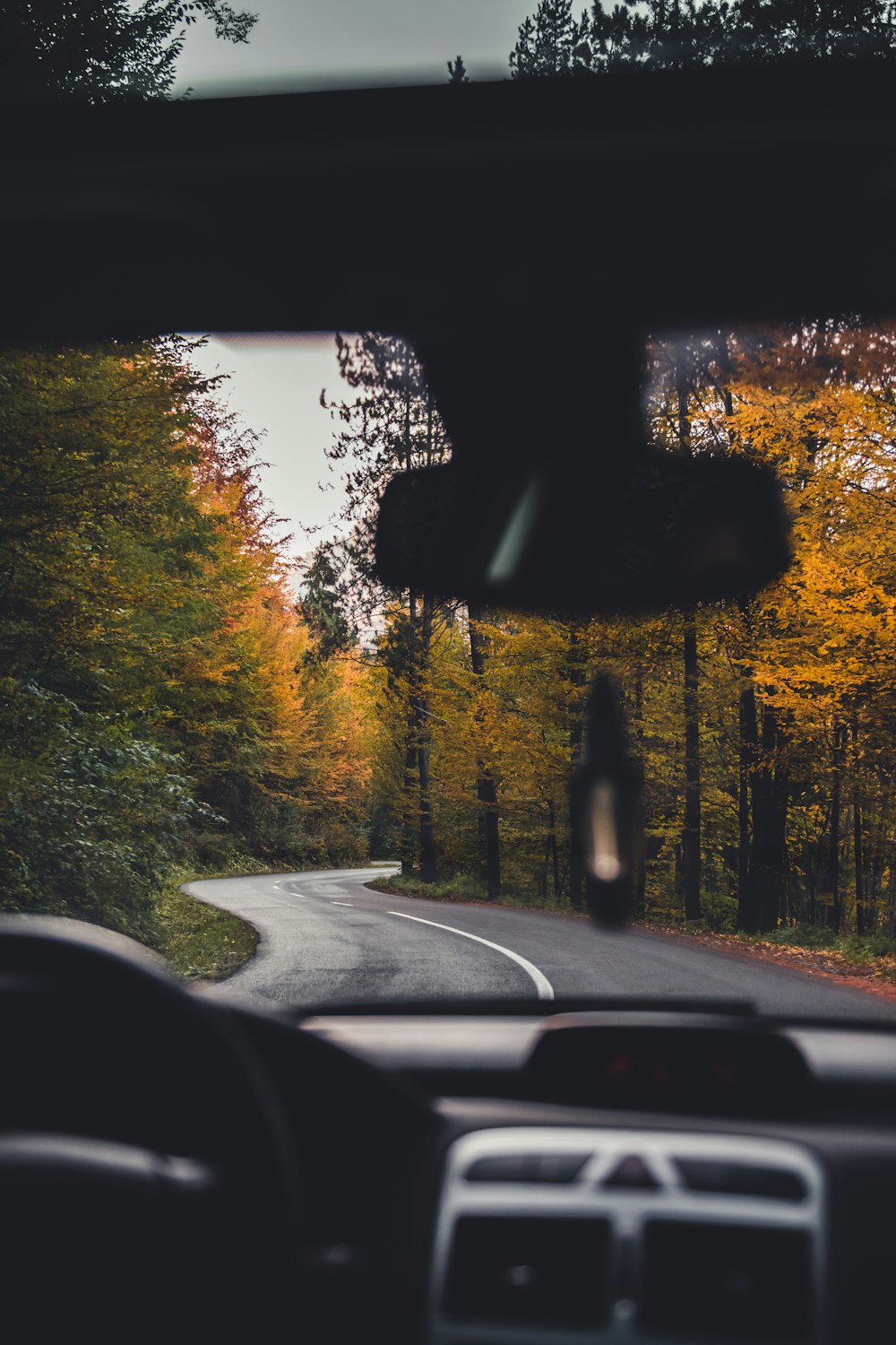 car on road between trees during daytime