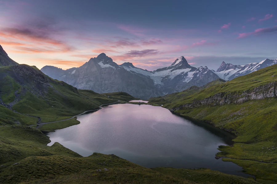 Lush green forest and mountain lake in nature