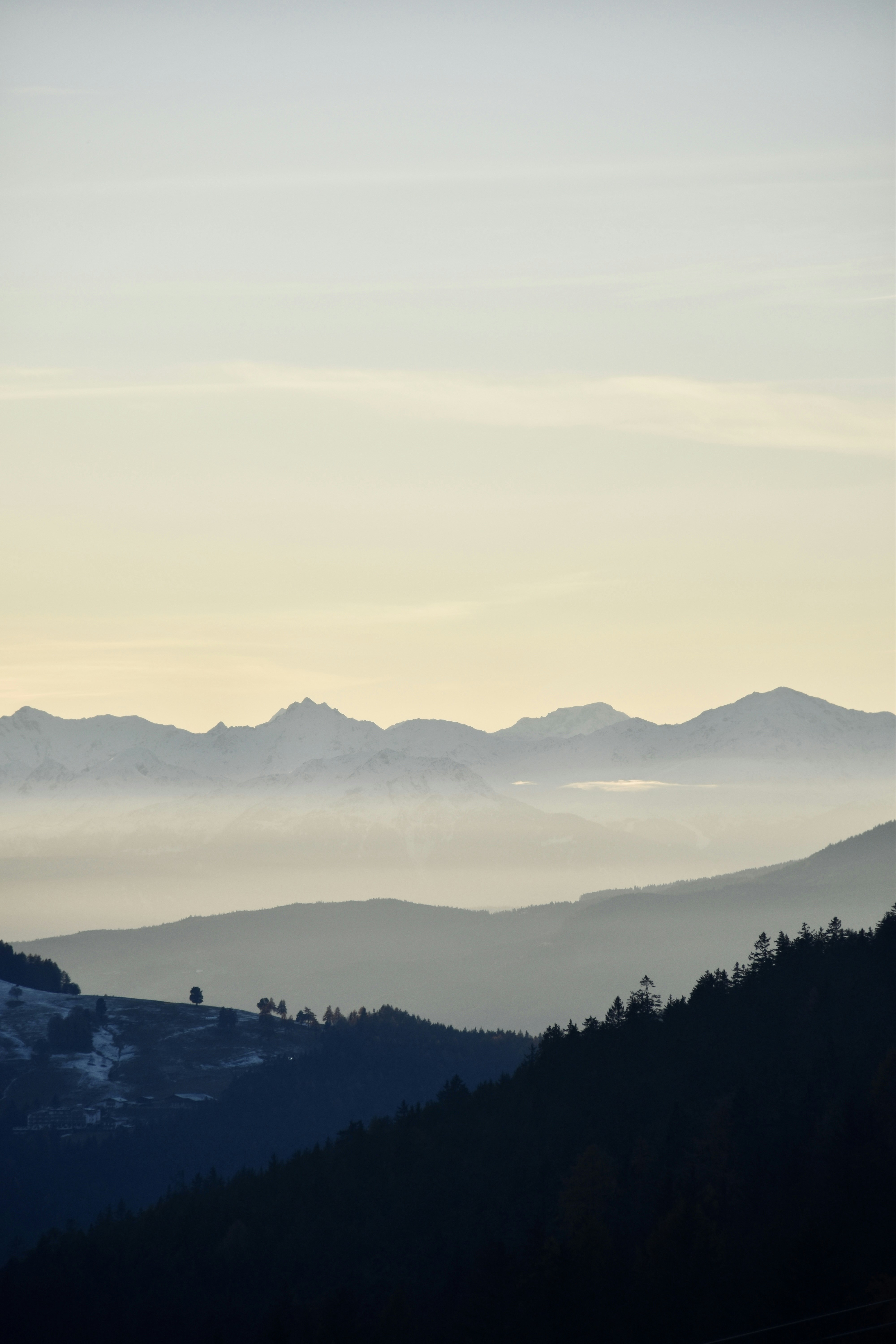 Photo by arnosenoner