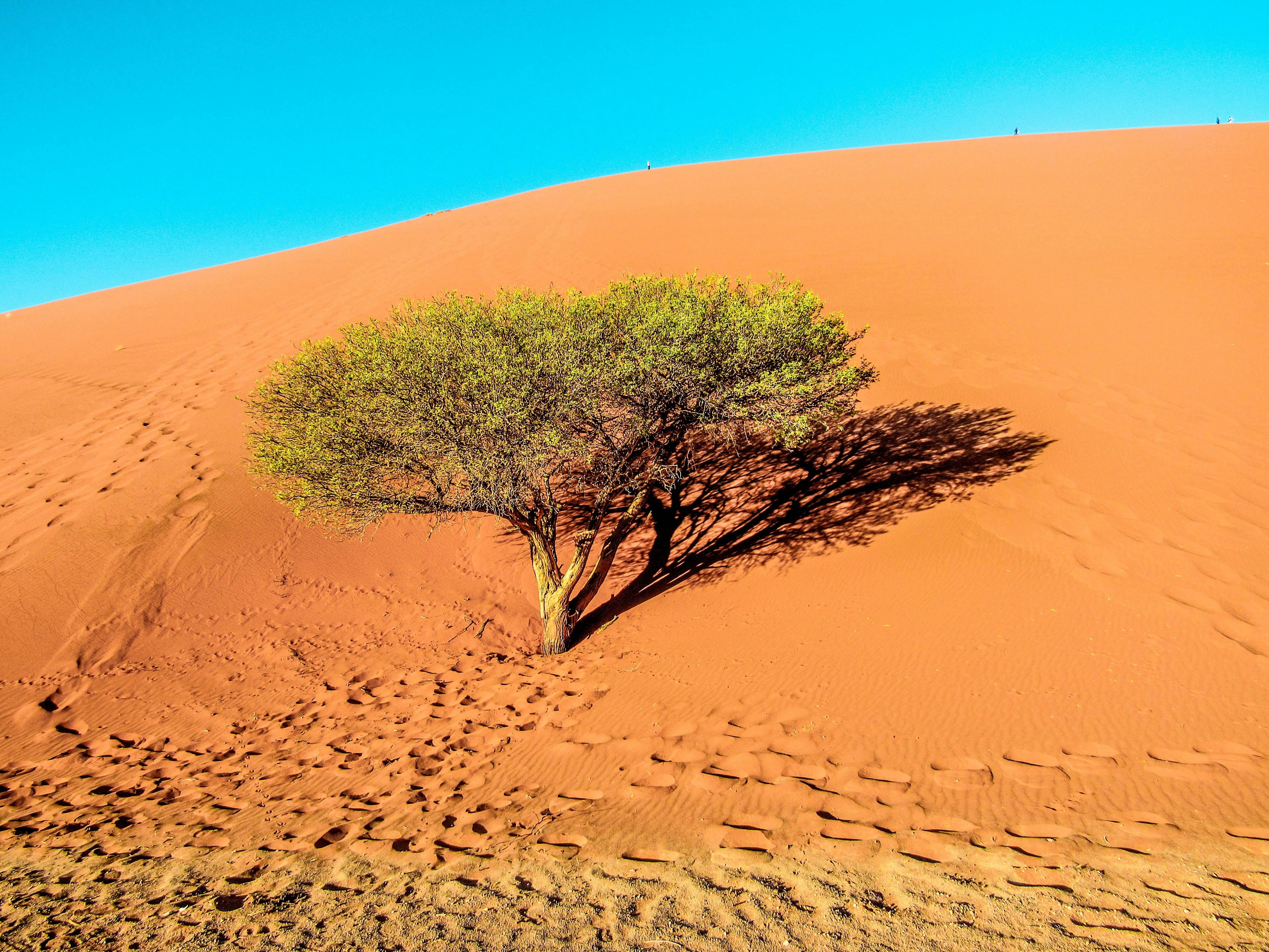 Photo by ramonbucard