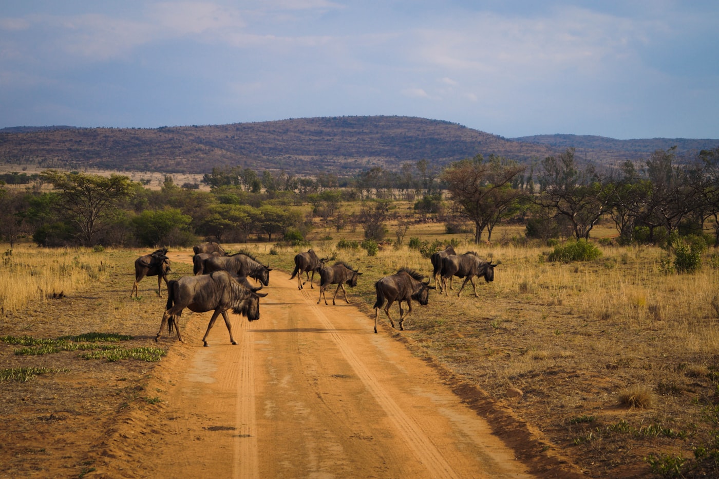 Landscape view of South Sudan