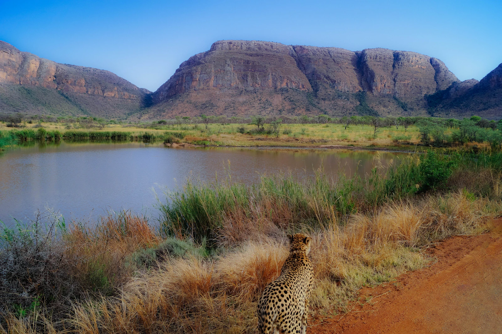 Singita Sweni Lodge: Intimate Seclusion on the Sweni River