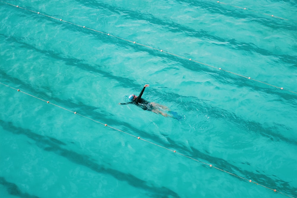 man in blue and black wetsuit swimming on blue water