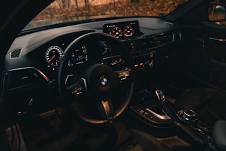 black bmw car steering wheel