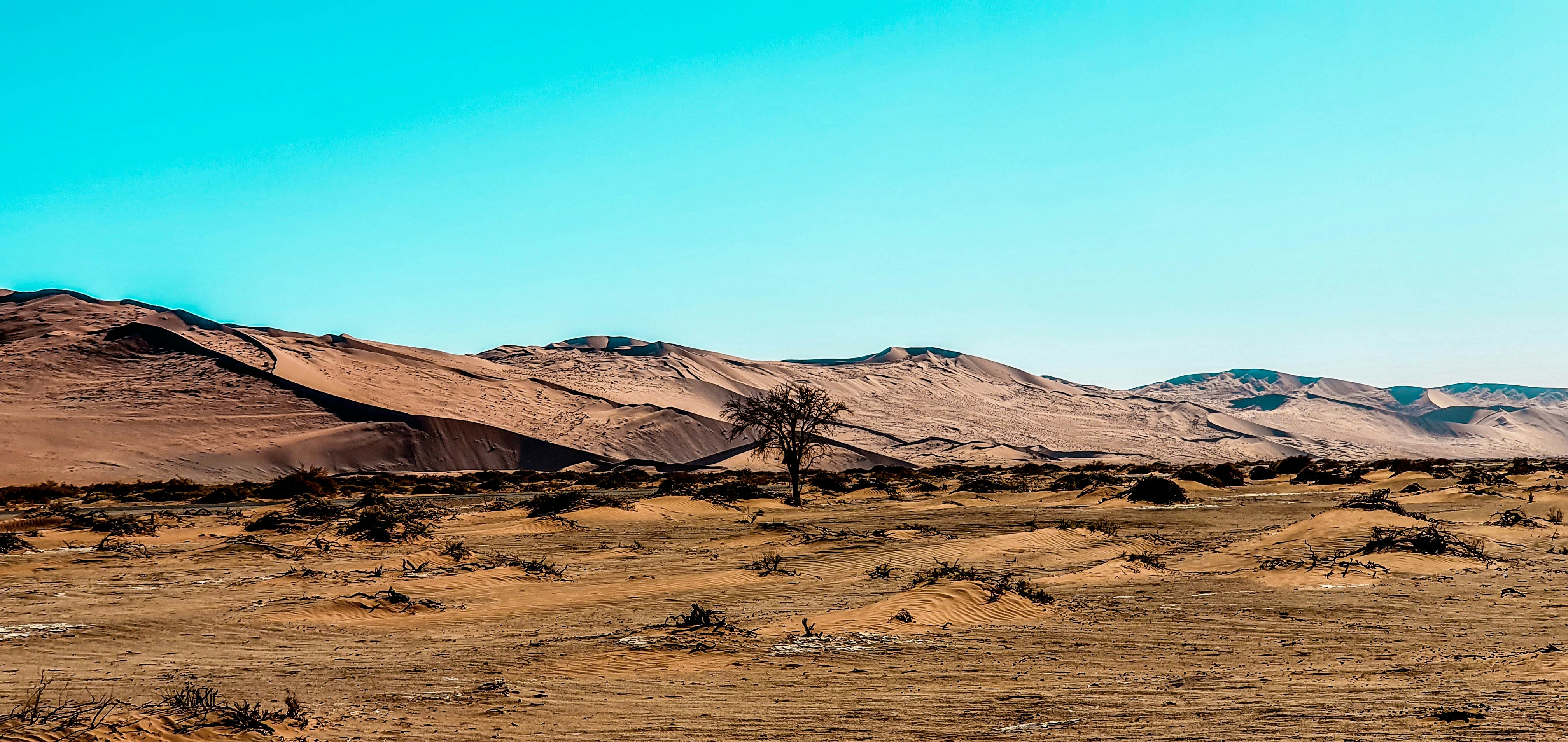 Photo by ramonbucard