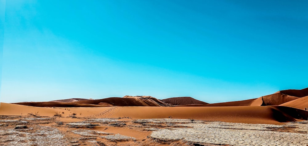 brown sand near body of water during daytime