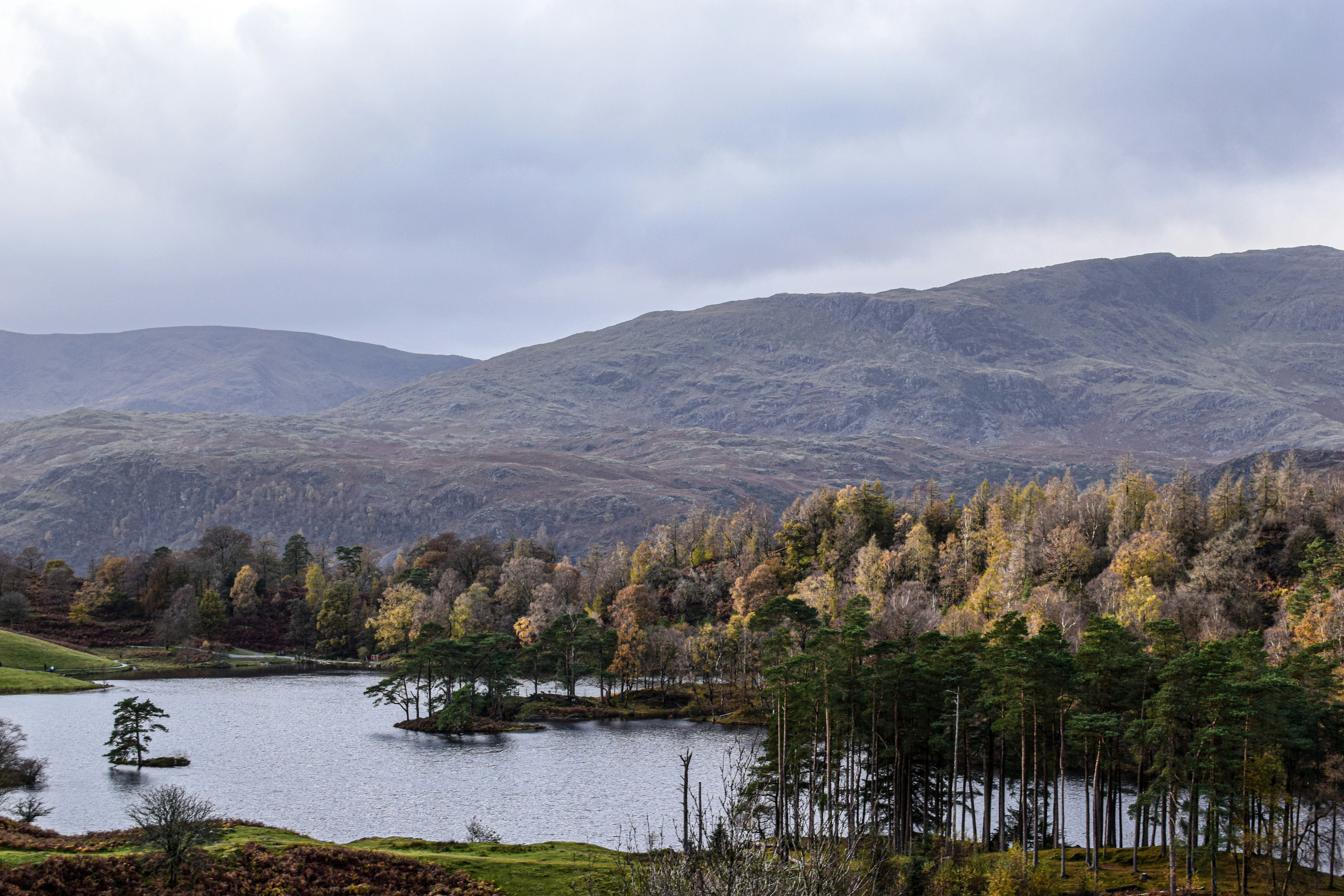 Photo by taylor_cowling_photos