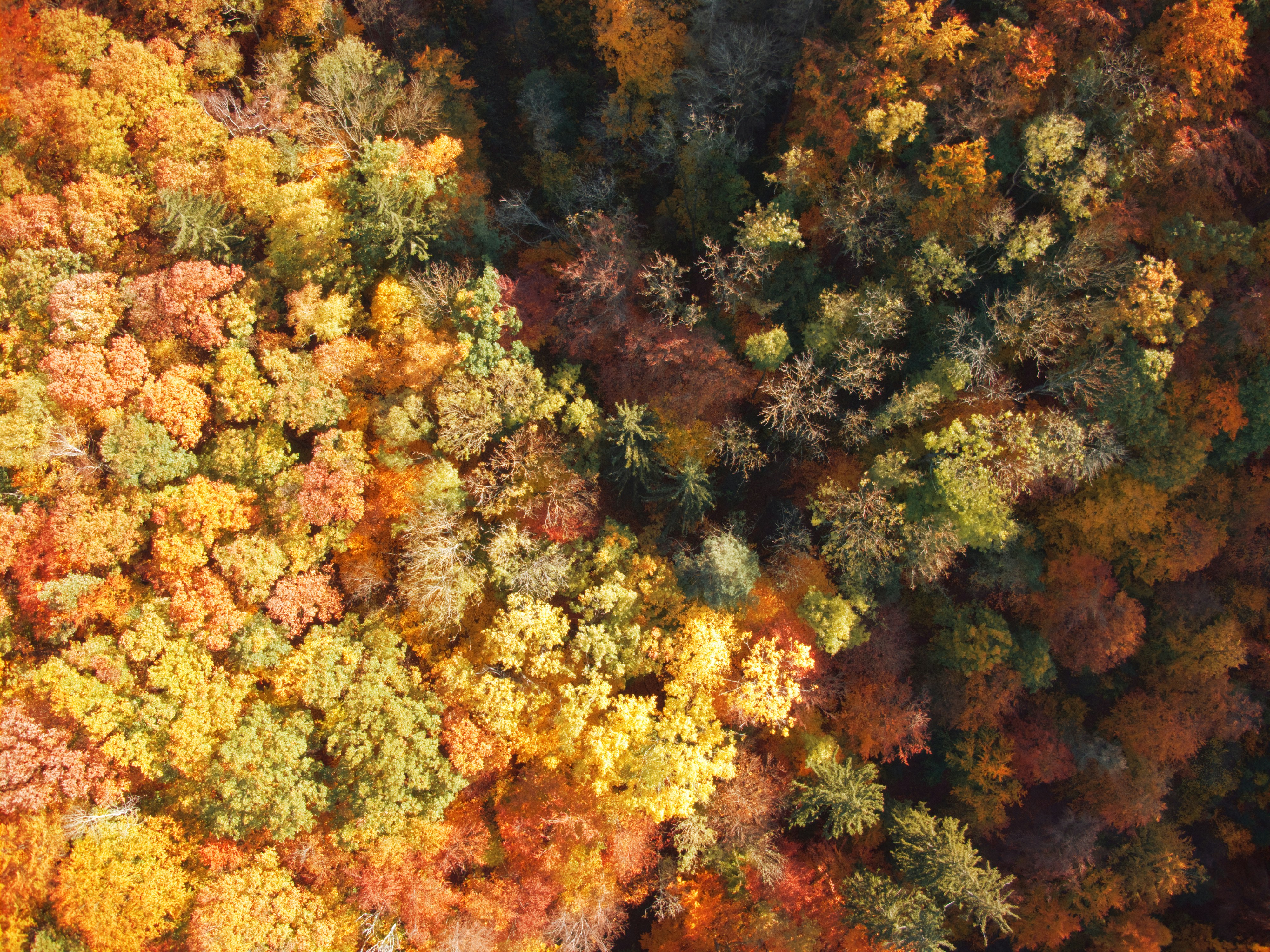 Photo by meister_stamm