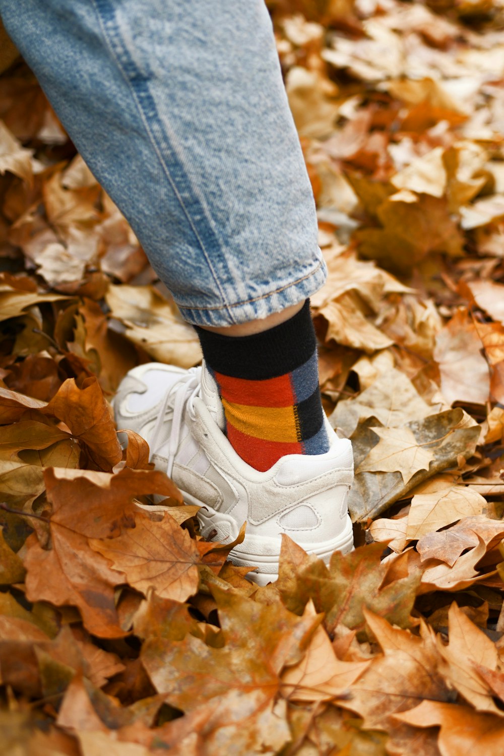 person in blue denim jeans and white nike sneakers standing on dried leaves