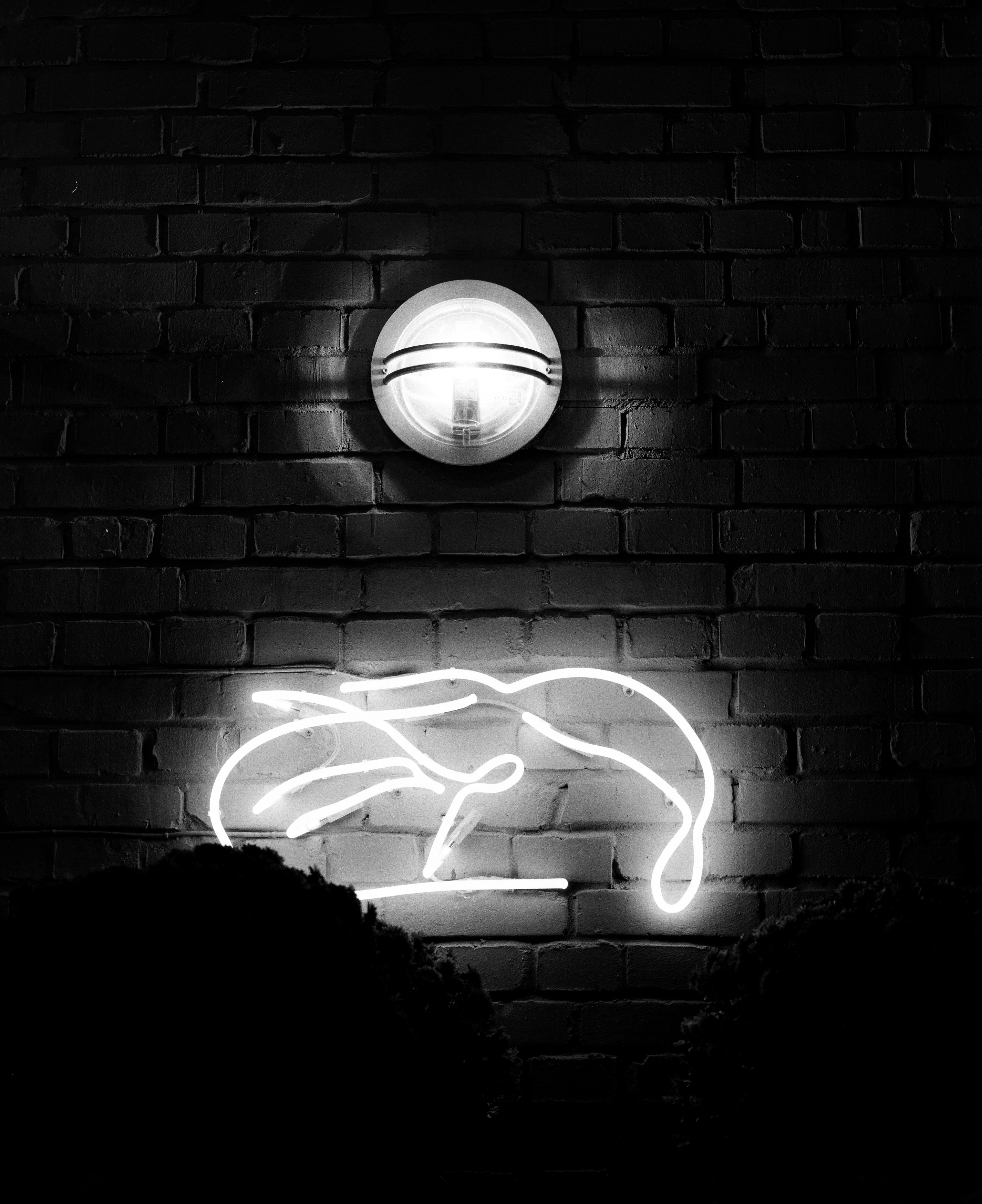 white light bulb on black brick wall