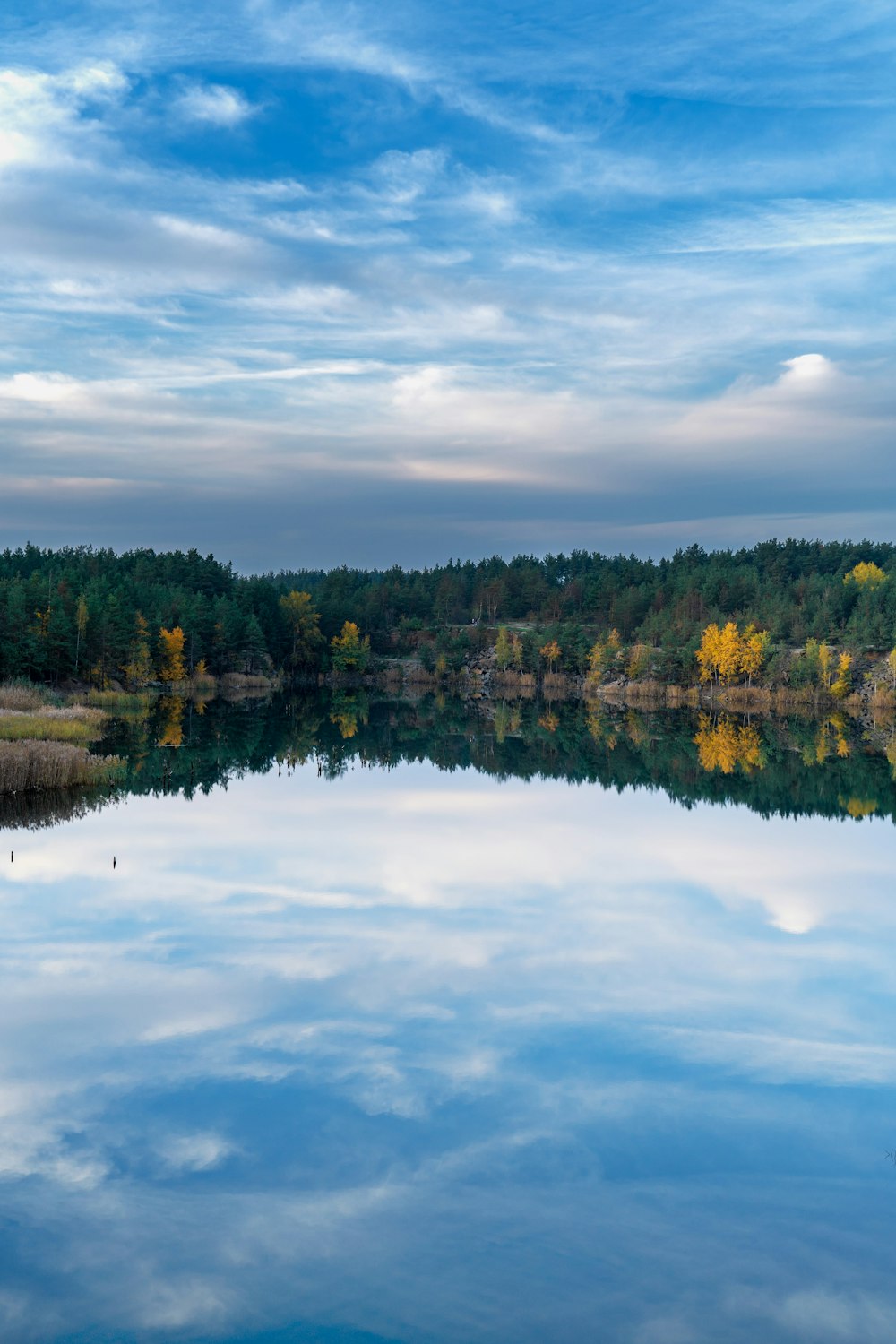 green trees beside body of water under cloudy sky during daytime