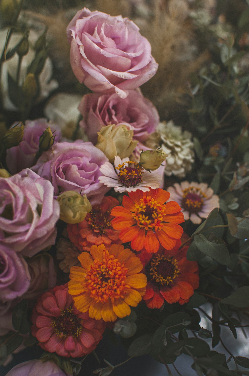 flores cor-de-rosa e laranja com folhas verdes