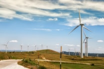 A landscape featuring numerous wind turbines on a grassy hill under a sky with a mix of clouds and blue. The road in the foreground leads towards the turbines, indicating a renewable energy installation in a rural area.