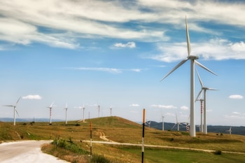 A landscape featuring numerous wind turbines on a grassy hill under a sky with a mix of clouds and blue. The road in the foreground leads towards the turbines, indicating a renewable energy installation in a rural area.