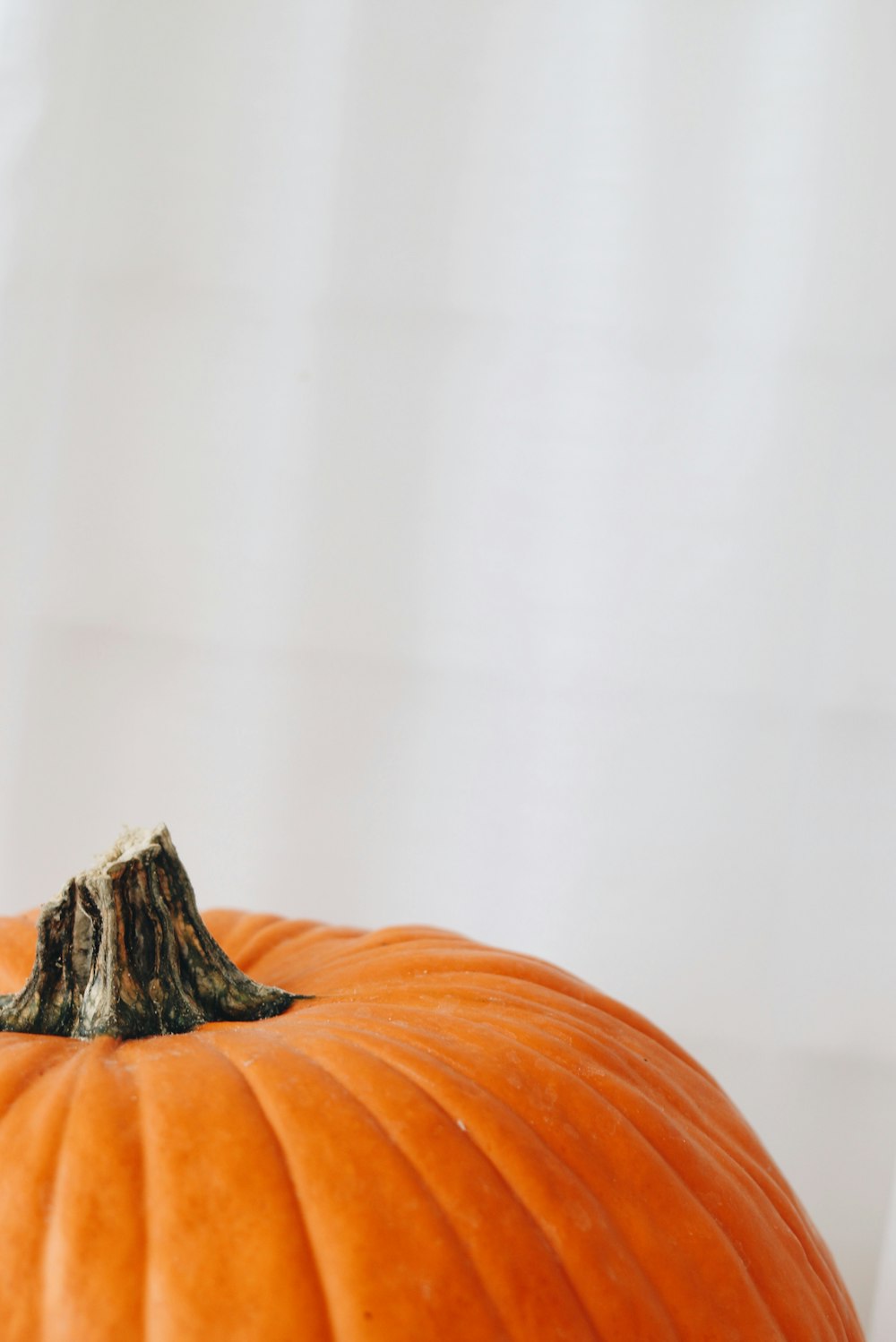 pumpkin on white table top