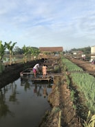 A rural setting with two people standing on a wooden platform over a narrow body of water. The surrounding area includes lush green plants and rows of vegetables, with banana trees lining one side. A rustic, thatched-roof structure is visible in the background, along with a dirt pathway and several motorcycles parked nearby under a partly cloudy sky.