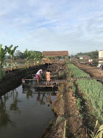 A rural setting with two people standing on a wooden platform over a narrow body of water. The surrounding area includes lush green plants and rows of vegetables, with banana trees lining one side. A rustic, thatched-roof structure is visible in the background, along with a dirt pathway and several motorcycles parked nearby under a partly cloudy sky.