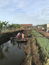 A rural setting with two people standing on a wooden platform over a narrow body of water. The surrounding area includes lush green plants and rows of vegetables, with banana trees lining one side. A rustic, thatched-roof structure is visible in the background, along with a dirt pathway and several motorcycles parked nearby under a partly cloudy sky.