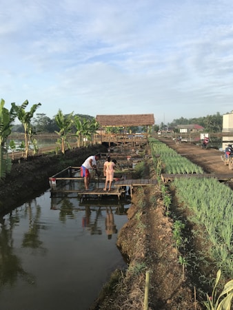 Créer un site web professionnel pour Agriconnect