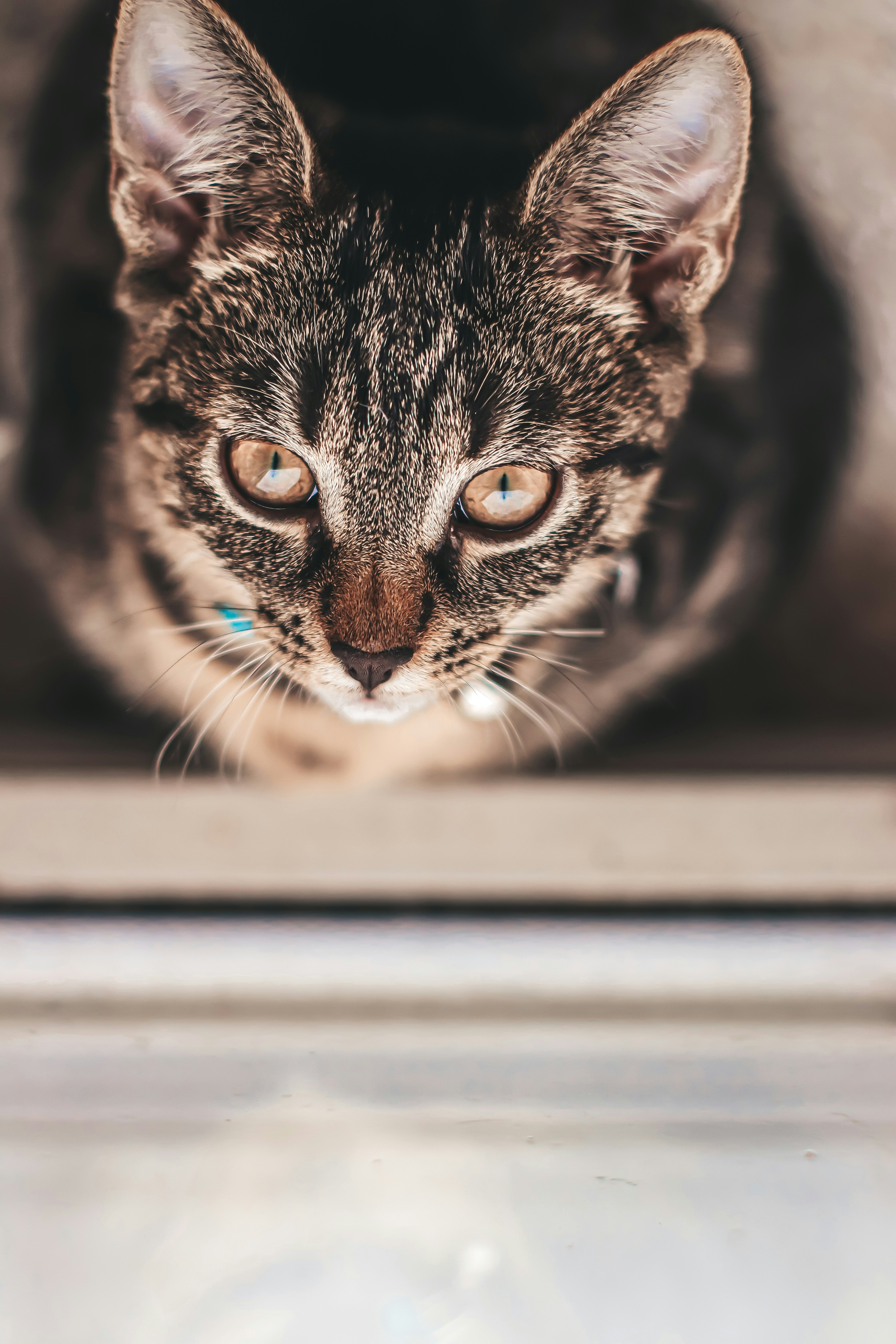 Photo by arunkuttiyani