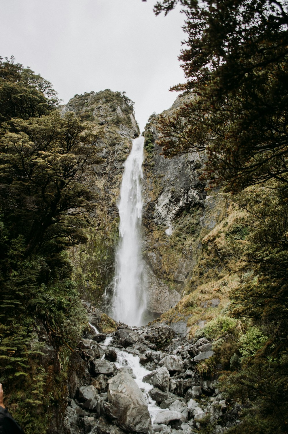 waterfalls in the middle of green trees