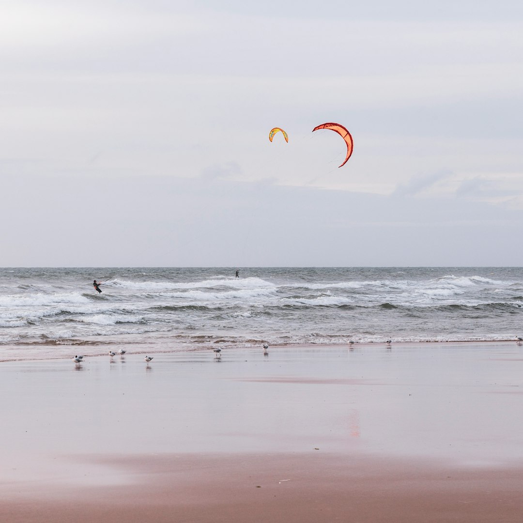 people on beach during daytime