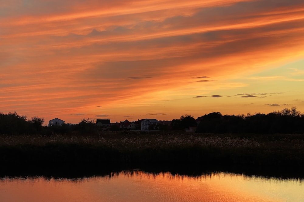 silhouette of trees beside body of water during sunset