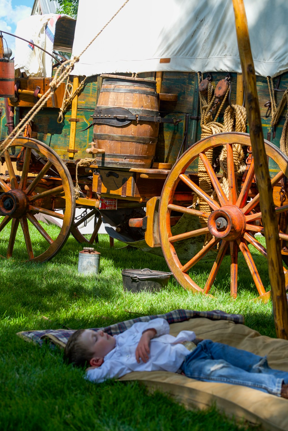 brown wooden carriage on green grass field during daytime