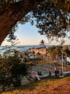 people walking on sidewalk near trees and body of water during daytime