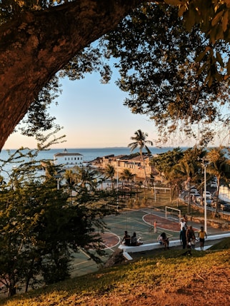 people walking on sidewalk near trees and body of water during daytime
