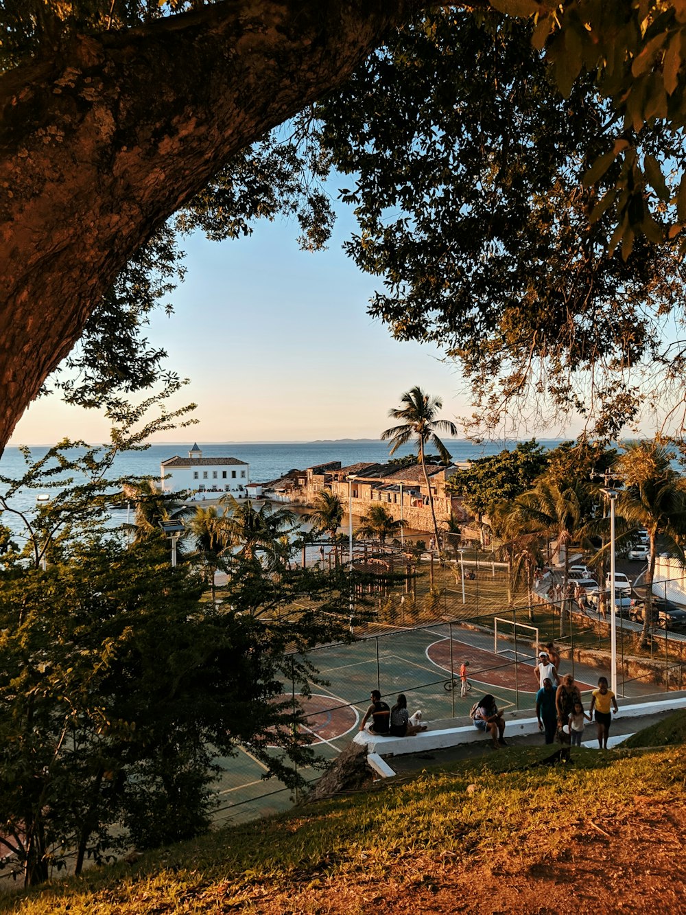 people walking on sidewalk near trees and body of water during daytime