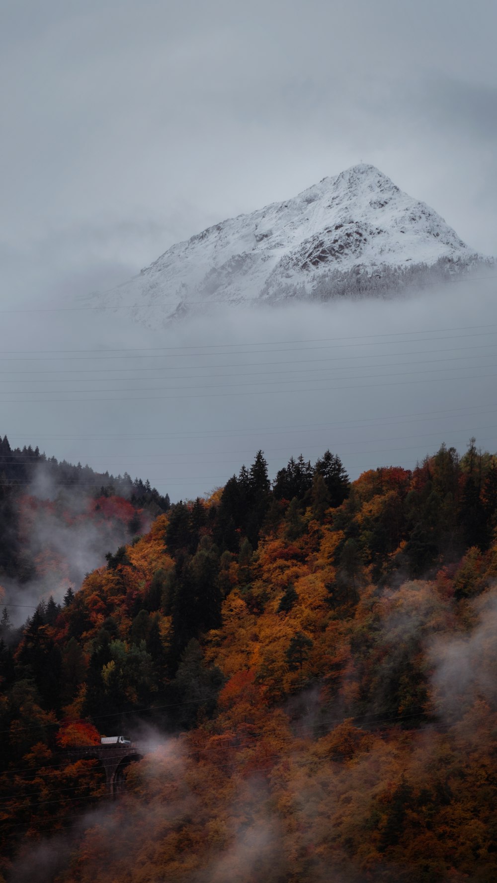 green and brown trees near snow covered mountain during daytime