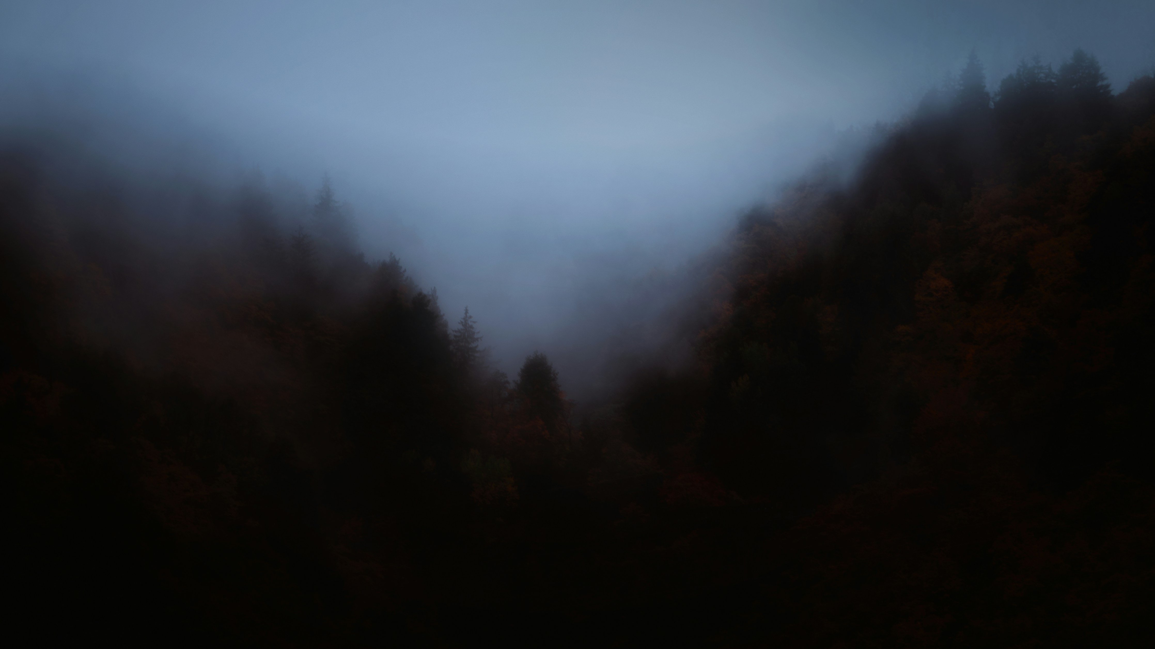 Photo by alex_rainer