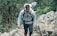 A man wearing a gray hoodie and carrying a backpack with a rolled-up mat is hiking through a rocky, forested area. The setting is lush with greenery, featuring tall trees and uneven stone paths.