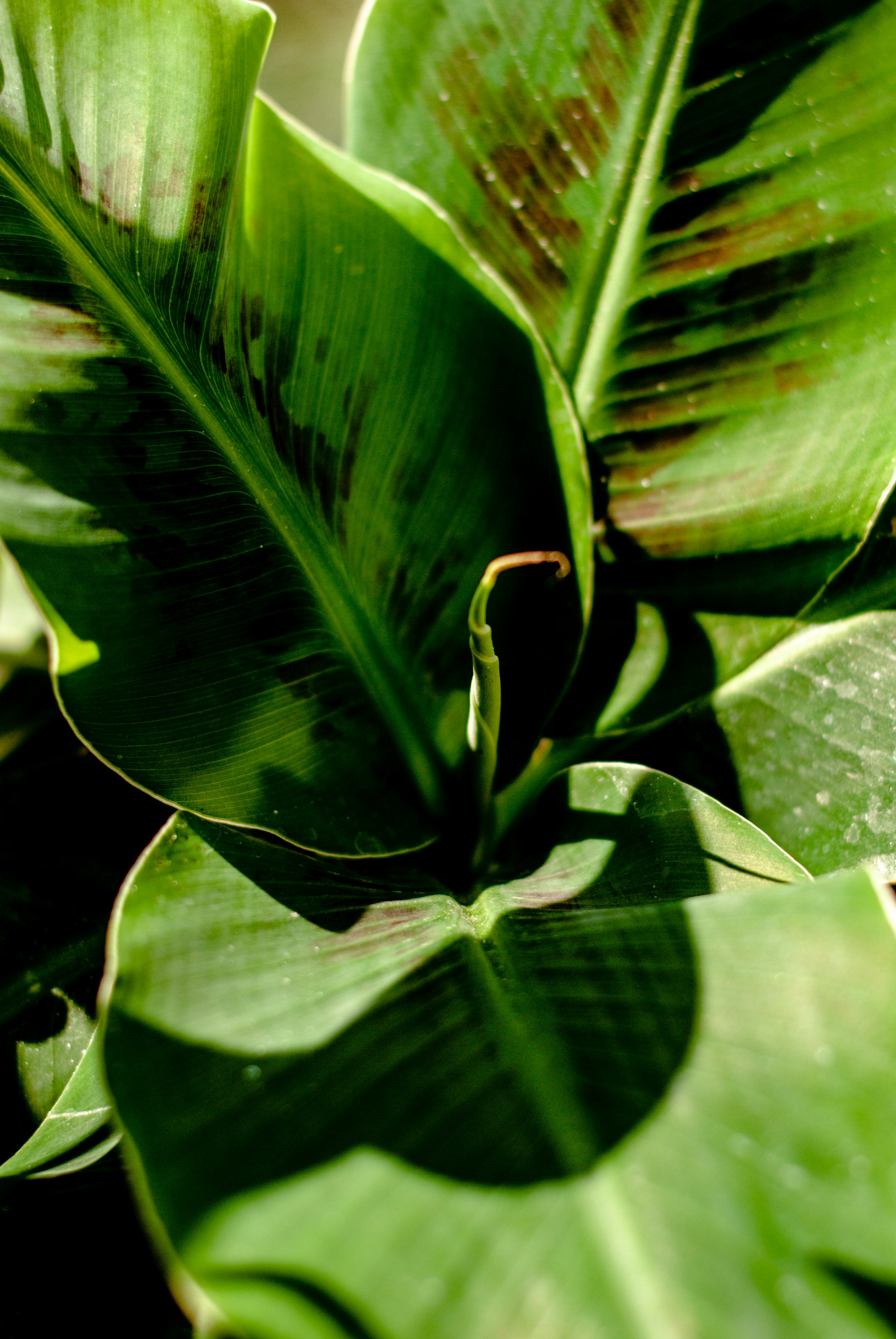 Photo by nastyushkina