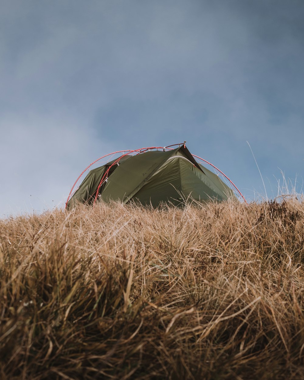 회색 하늘 아래 갈색 잔디밭에 있는 녹색과 빨간색 돔 텐트