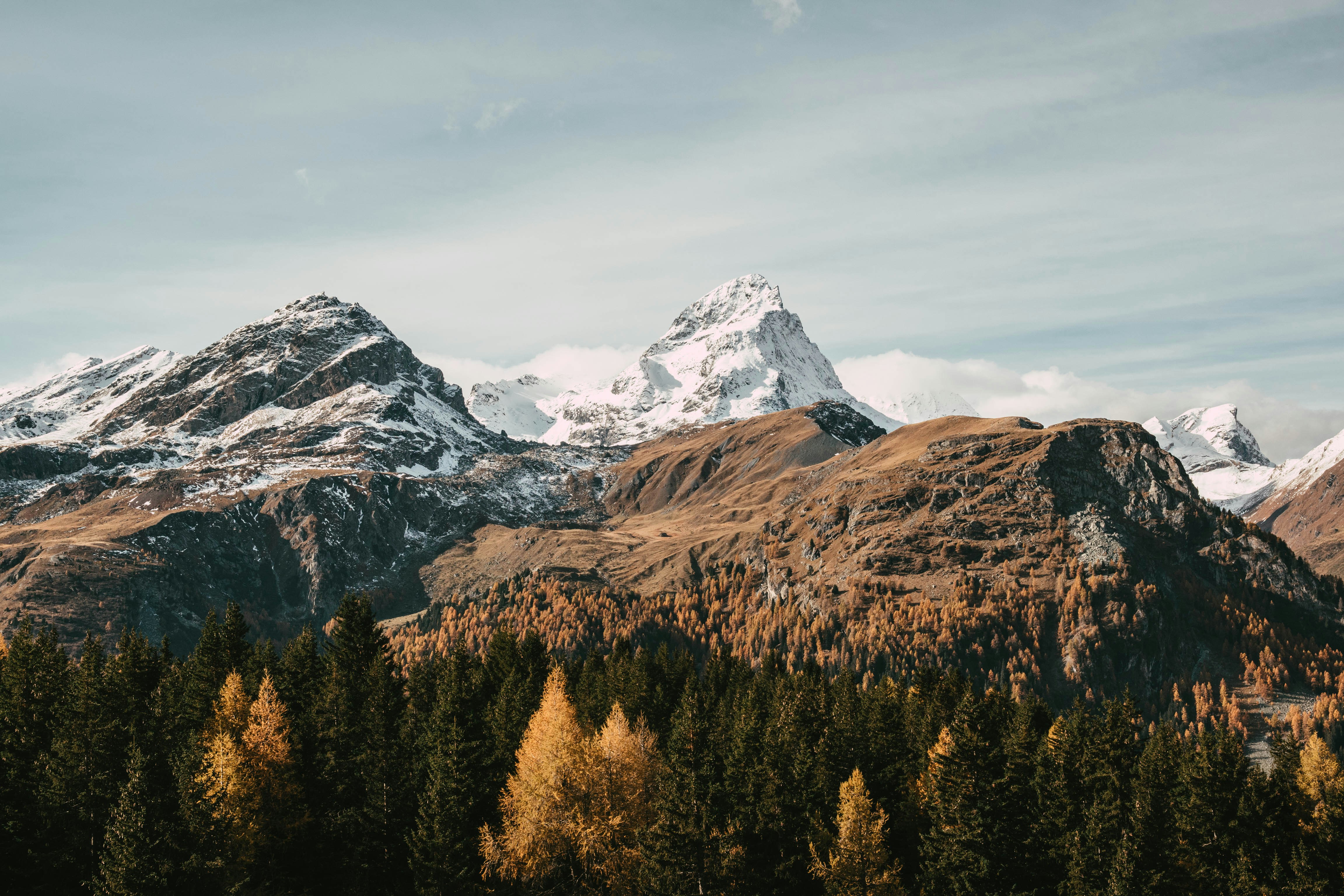 green trees near snow covered mountain during daytime