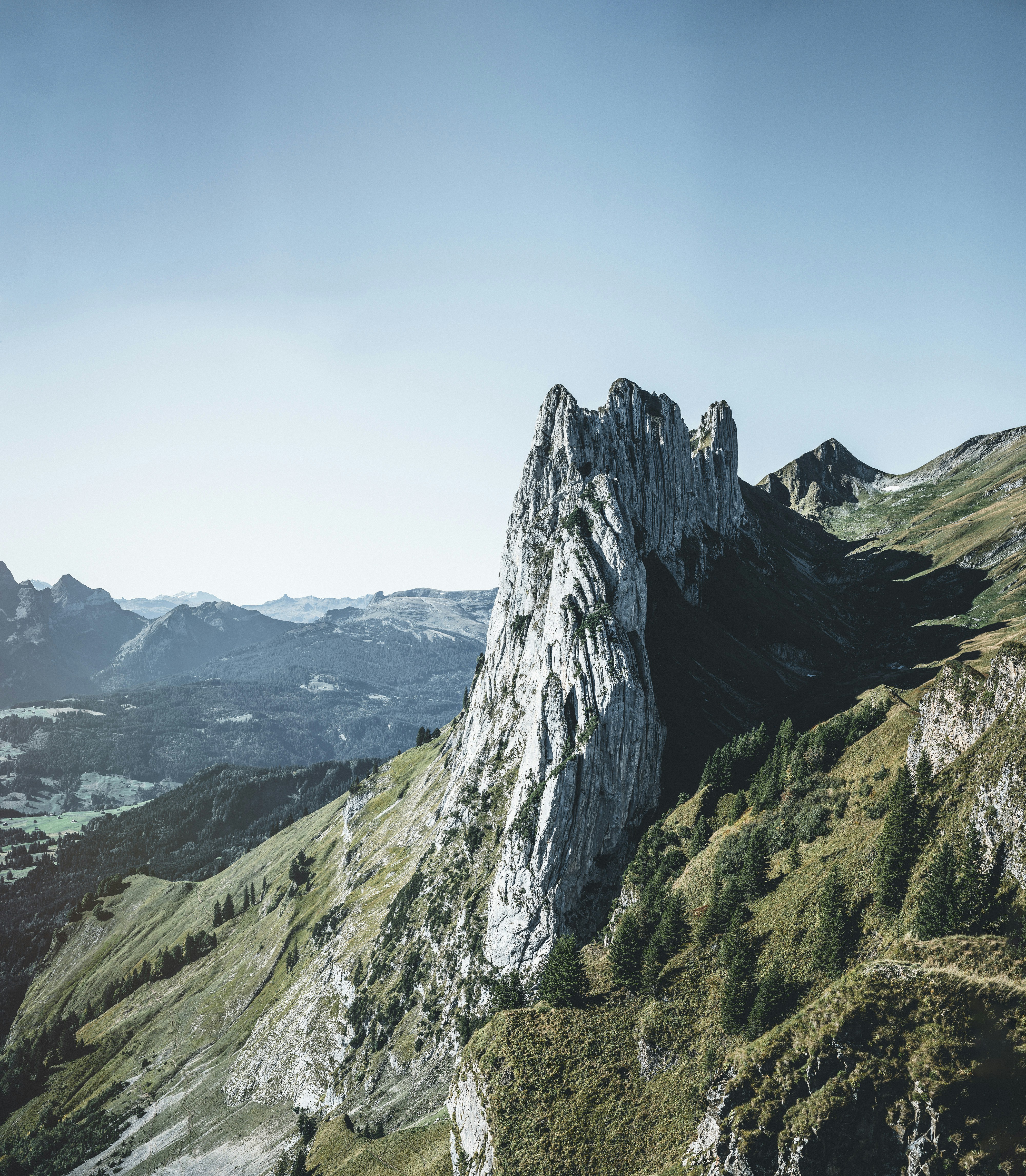 Photo by estimated_ch